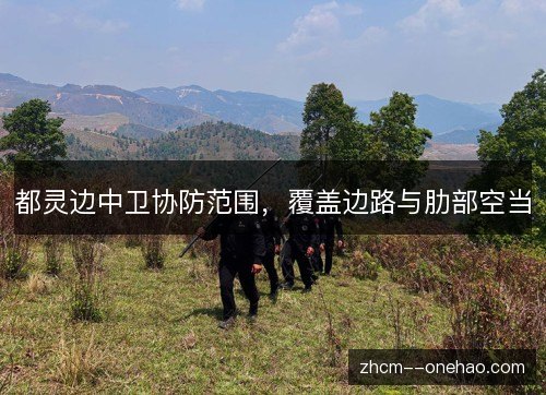 都灵边中卫协防范围,覆盖边路与肋部空当 都灵边中卫协防范围,覆盖边路与肋部空当
