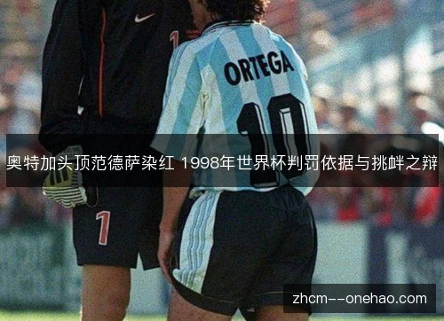 奥特加头顶范德萨染红 1998年世界杯判罚依据与挑衅之辩 奥特加头顶范德萨染红 1998年世界杯判罚依据与挑衅之辩